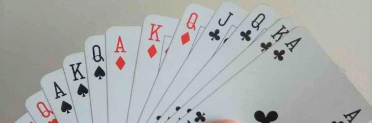 יצחק טילוביץ - מורה לברידג'